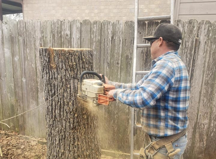 arborist sawing newly removed tree