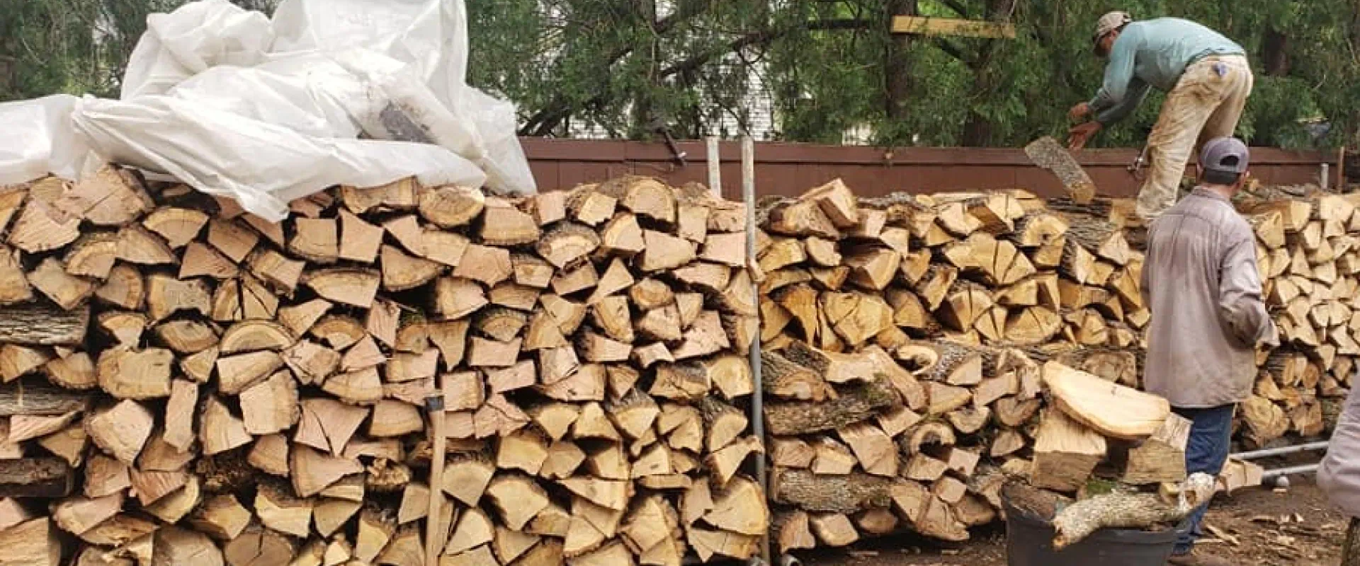arborists arraning firewood