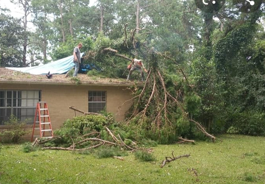 fallen tree on house